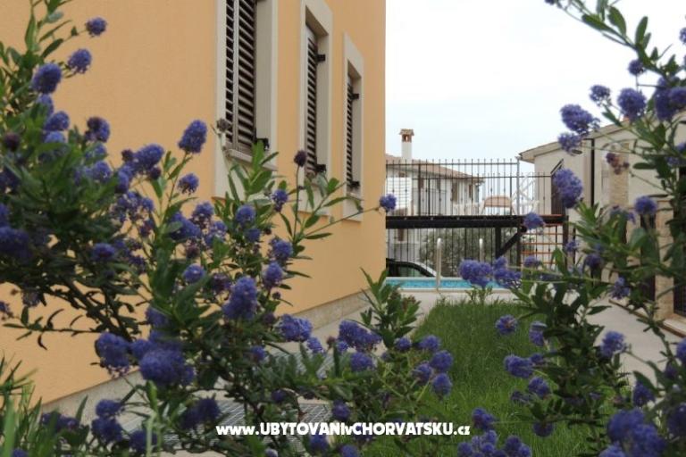 Villa Pineta – photo 14