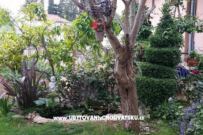 Apartment Ljuba – photo 2
