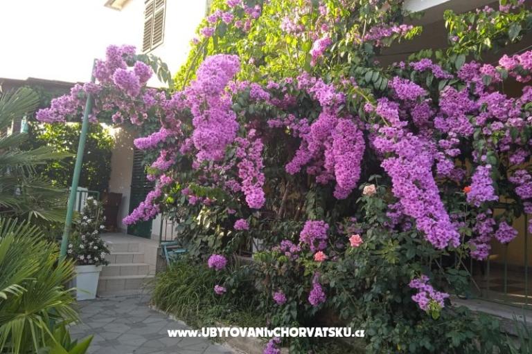 Apartments Majica – photo 6