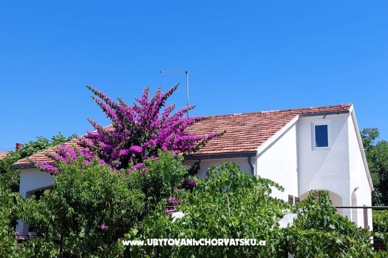 Vacation house - Apartment Milka – photo 2