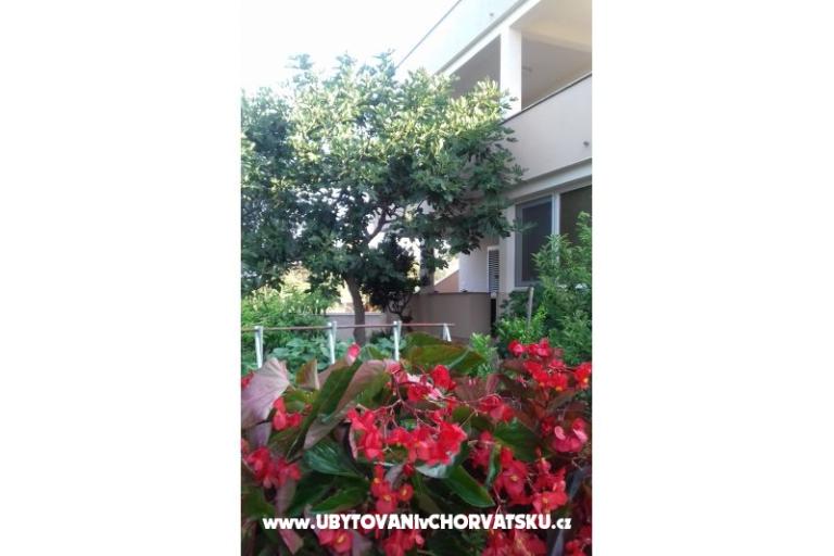 Apartment   " ARZENŠEK " – photo 12