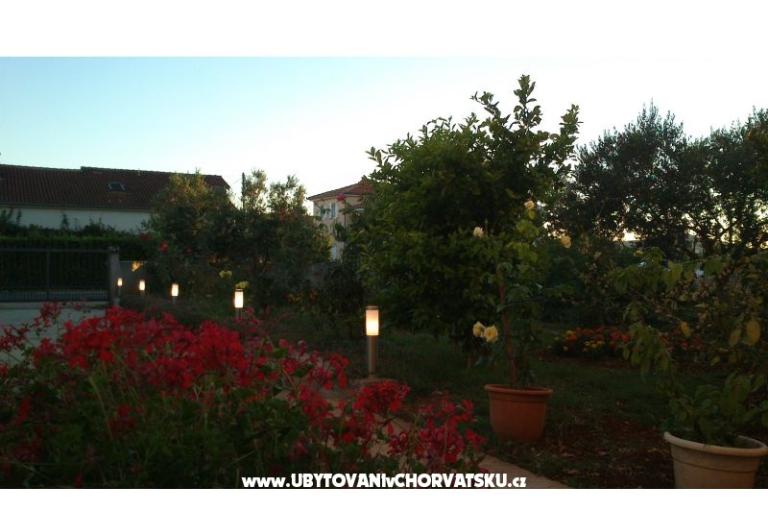 Apartments Iva – photo 10