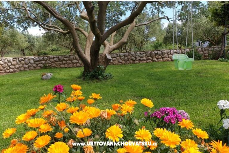 Apartments Marina – photo 15