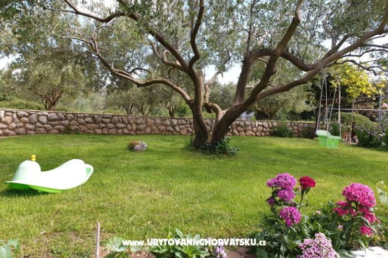 Apartments Marina – photo 4