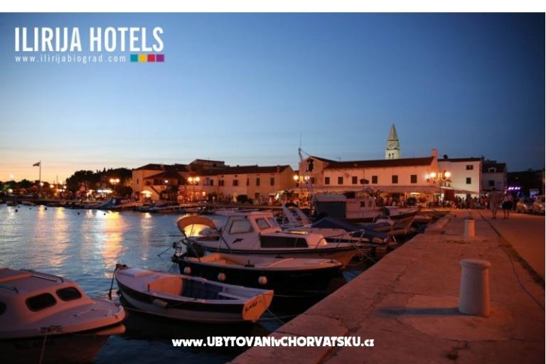 Apartment Matulj – photo 15