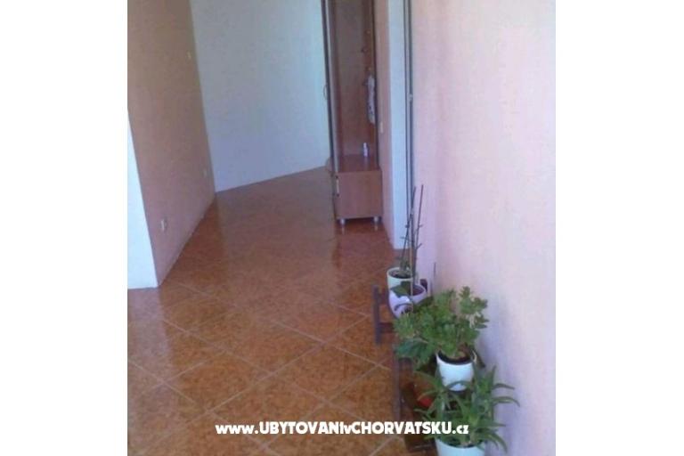 Apartments Paula – photo 7