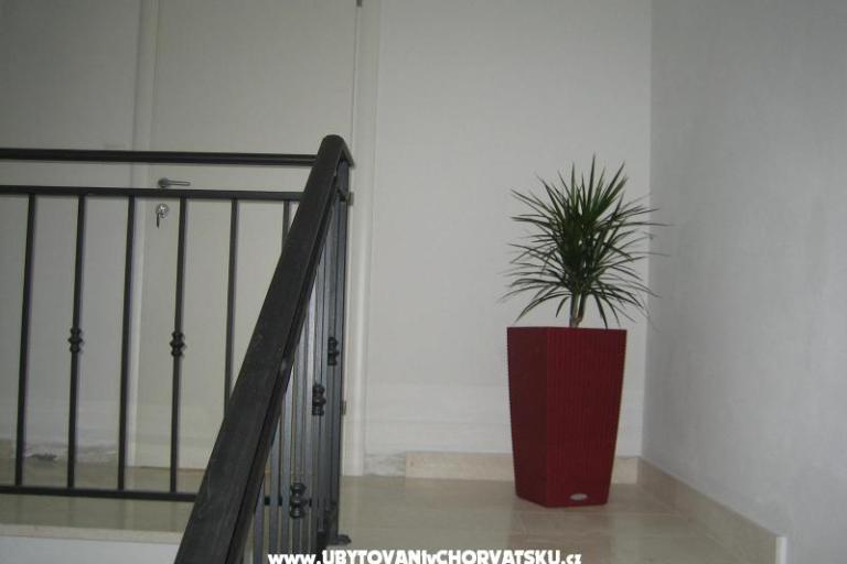 Apartments Roje Sv. Filip i Jakov – photo 16