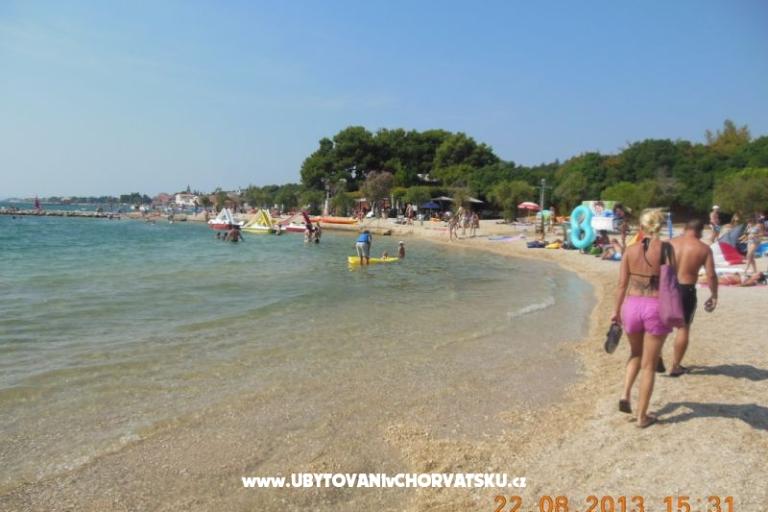 Apartments Seka – photo 11