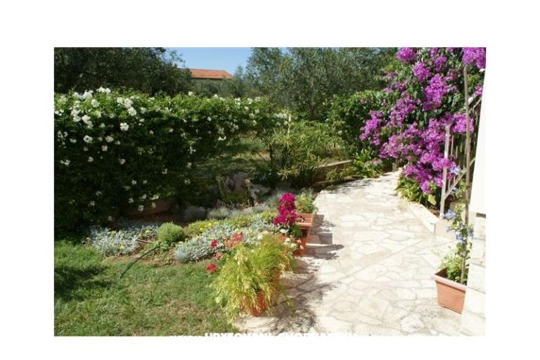 Apartments Vodopija 50eur/2 os – photo 6