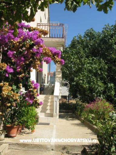 Apartments Jelka  – photo 9