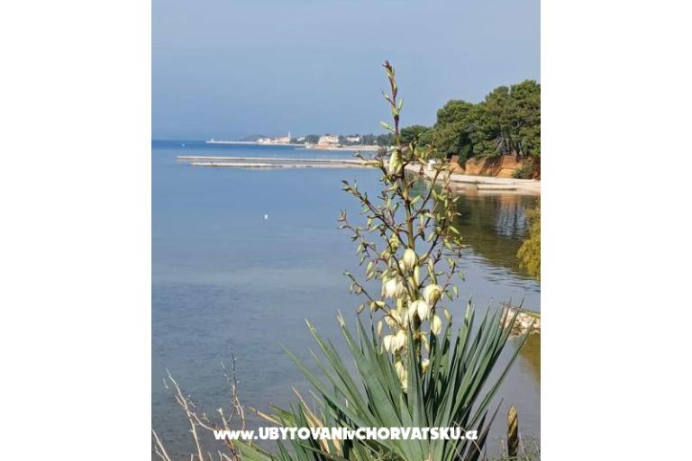 Apartments Be-Bu-Mar – photo 13