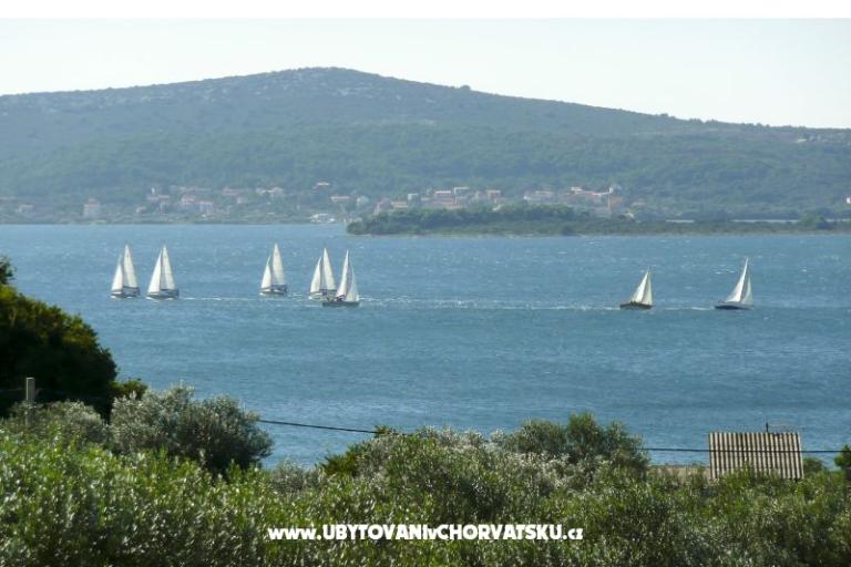 Dva labuda – photo 3