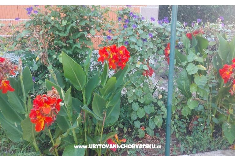 Apartments Misulic Turanj – photo 16