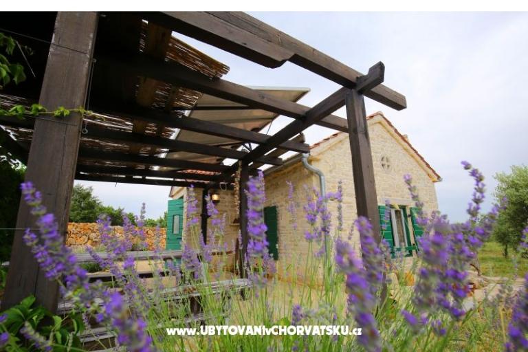Olive Garden Paljka – photo 10