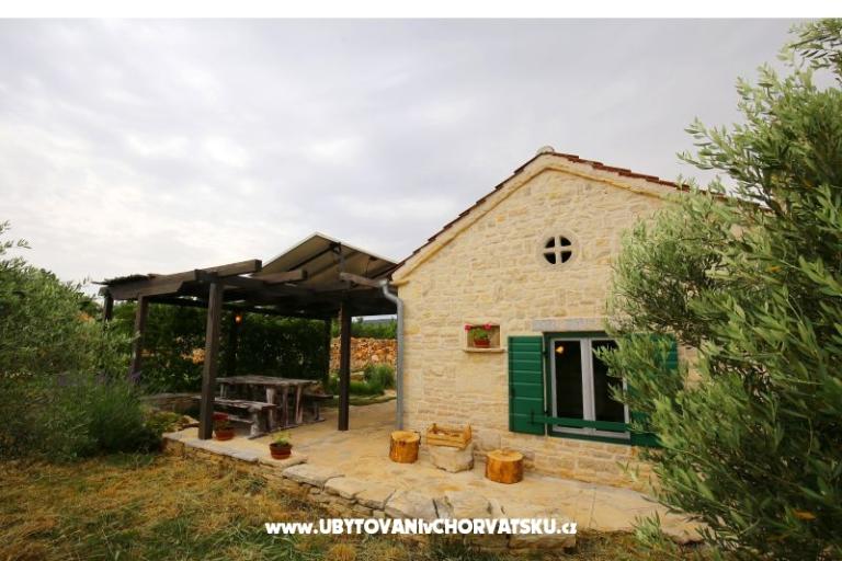 Olive Garden Paljka – photo 12