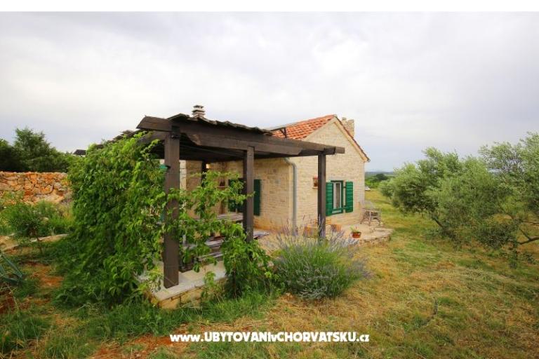 Olive Garden Paljka – photo 14