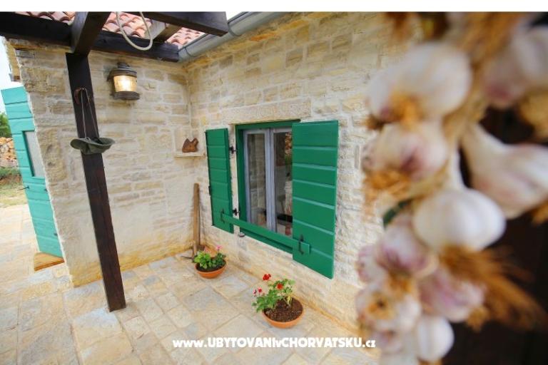 Olive Garden Paljka – photo 15