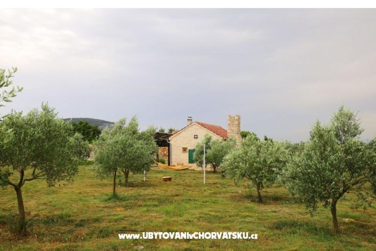 Olive Garden Paljka – photo 17