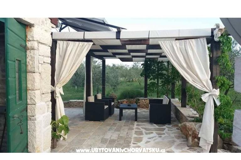 Olive Garden Paljka – photo 4