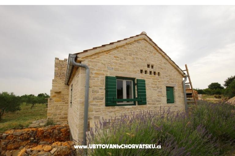 Olive Garden Paljka – photo 9