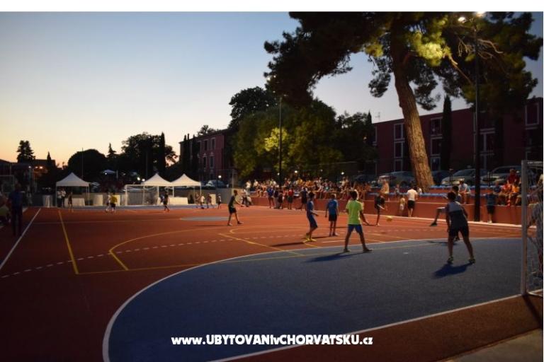 Vila Palma - B88 apartments – photo 16