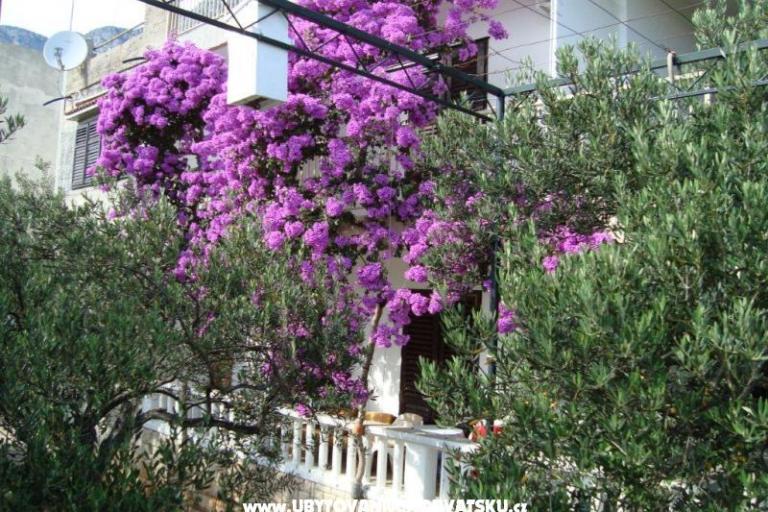 Apartment Gradac Falak – photo 13