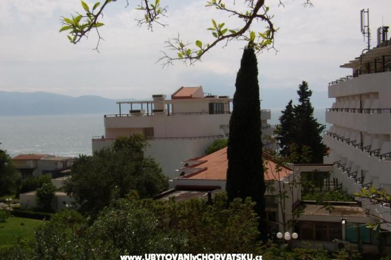 Apartment Gradac Falak – photo 2
