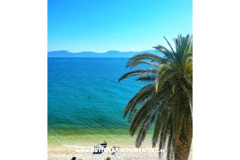 Apartment Renata – photo 9