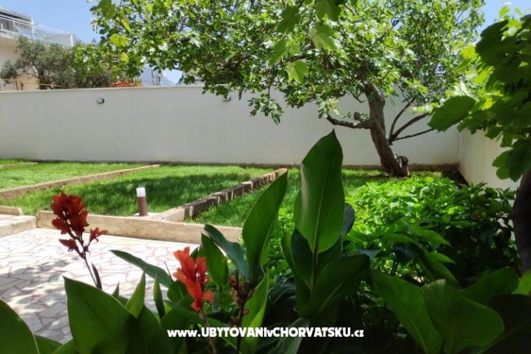 Apartments Aničić – photo 15