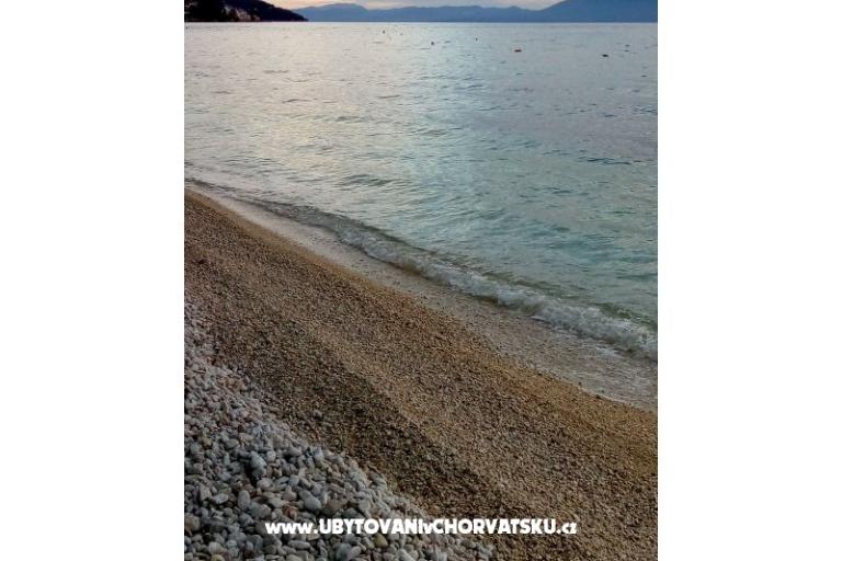 Apartments Delfin – photo 16