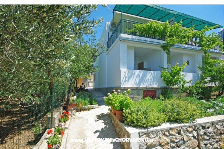 Apartments i sobe Maslina – photo 11