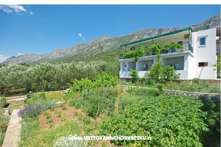 Apartments i sobe Maslina – photo 12