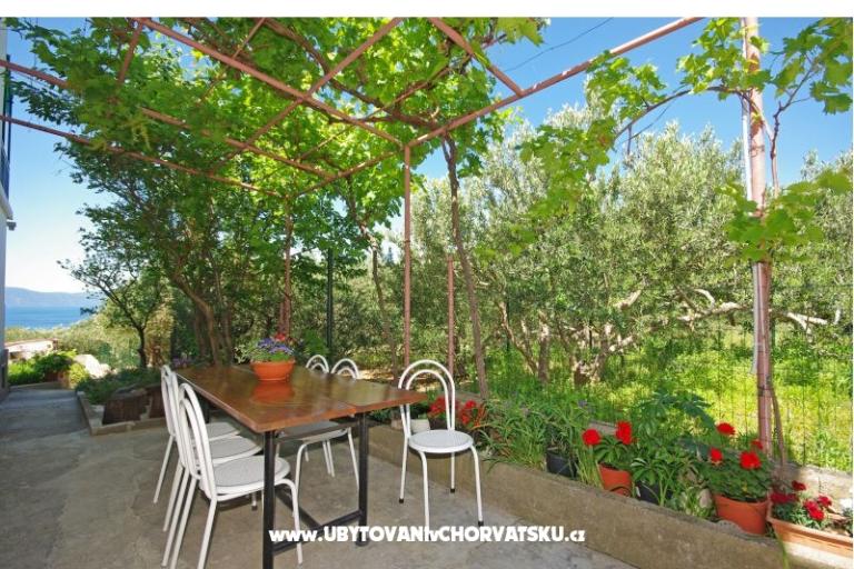 Apartments i sobe Maslina – photo 16