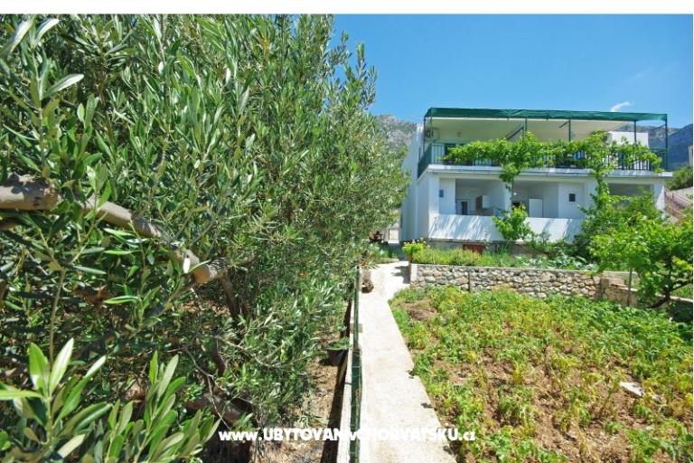 Apartments i sobe Maslina – photo 9