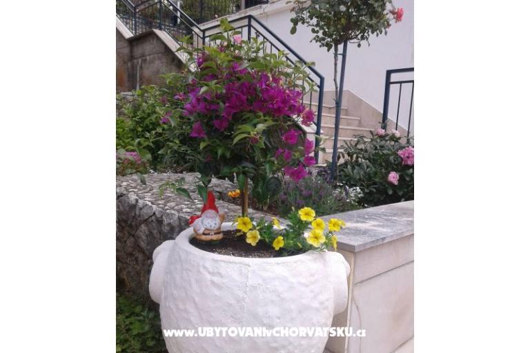 Apartments Ivana  – photo 26
