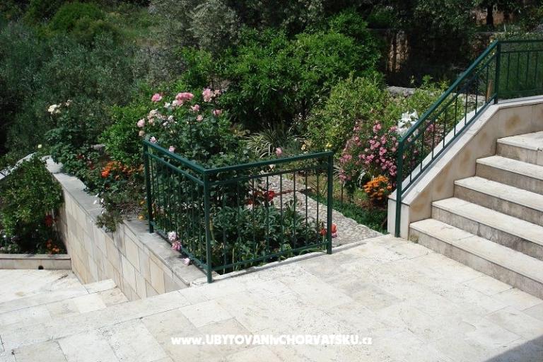 Apartments Ivana  – photo 3