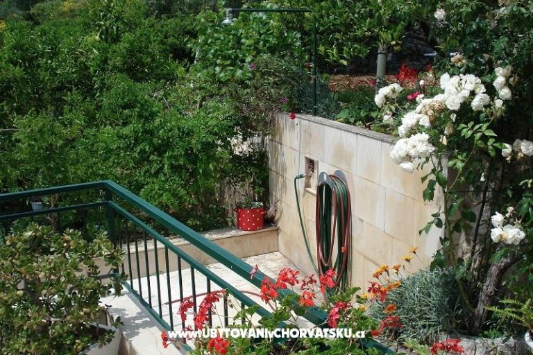 Apartments Ivana  – photo 4