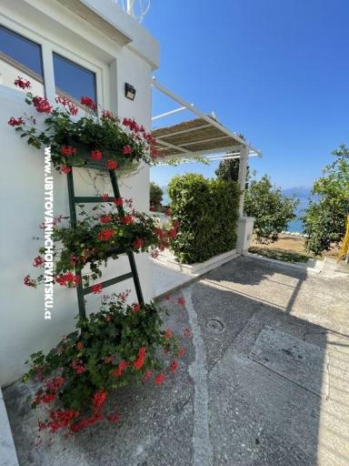 Apartments Mimoza – photo 14
