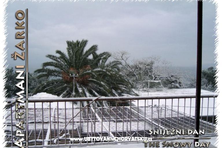 Apartments Žarko – photo 17