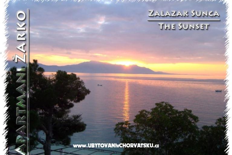 Apartments Žarko – photo 2