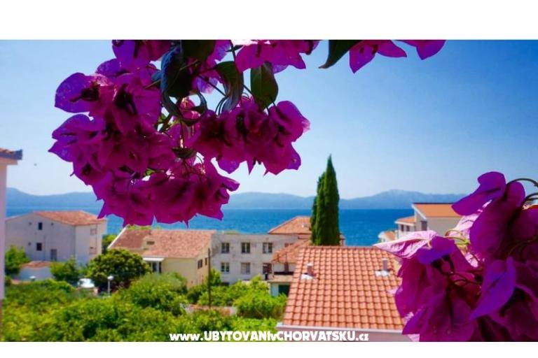 Apartments Jerković Gradac – photo 7
