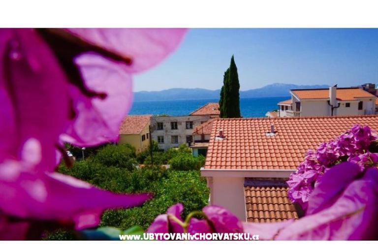 Apartments Jerković Gradac – photo 8