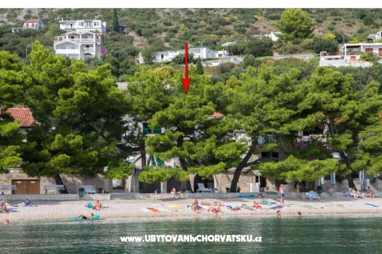 Apartments Kosovic II – photo 11