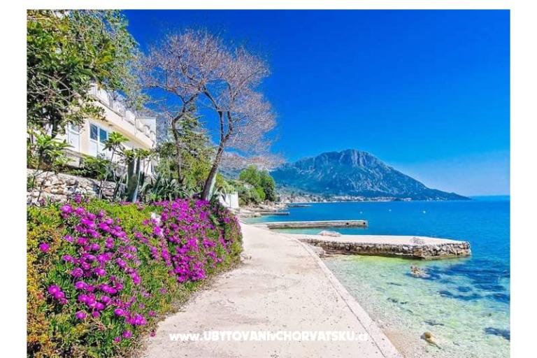 Apartments Pećar – photo 12