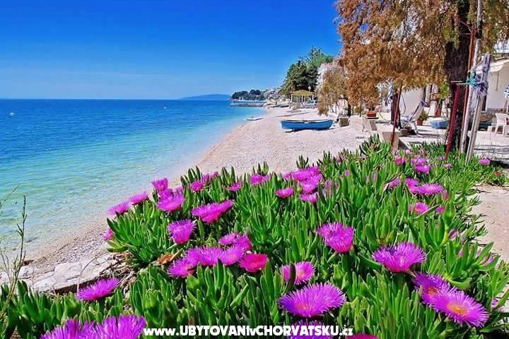 Apartments Pećar – photo 6