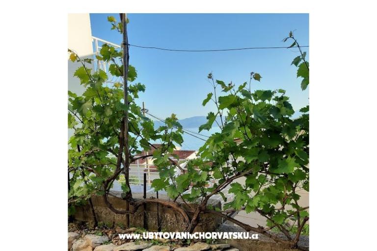 Beach House Buinac – photo 7