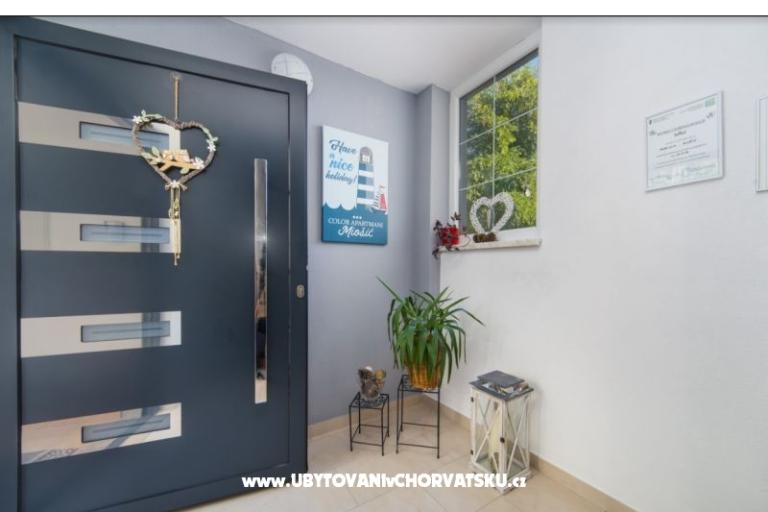 Color Apartments Miošić – photo 8