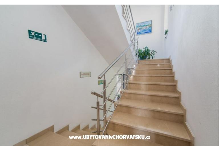 Color Apartments Miošić – photo 9