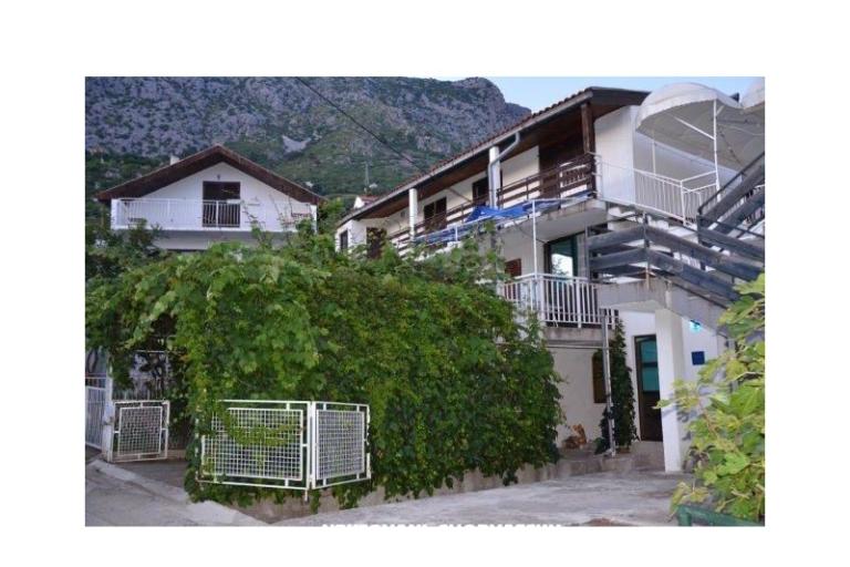 Goga – photo 11