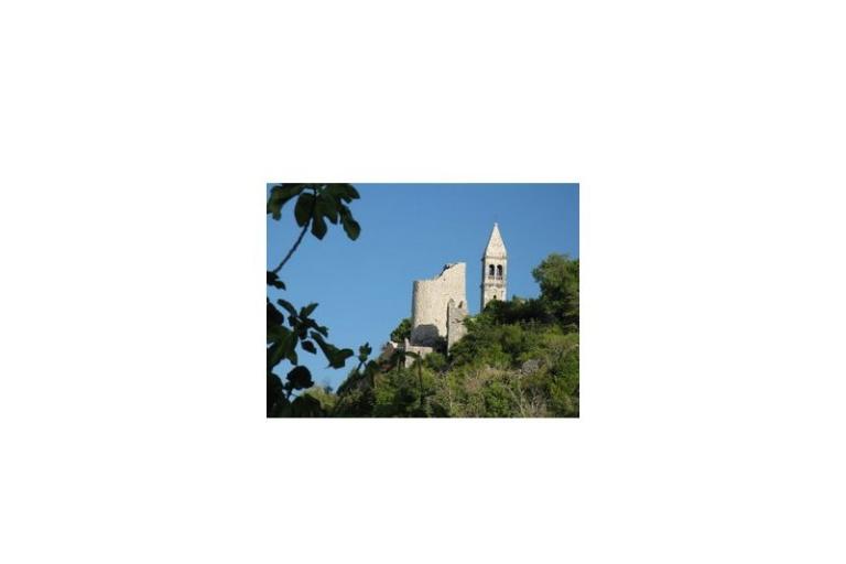 Goga – photo 13